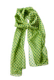 Silk Spotted Scarf